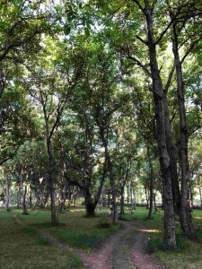 Hiker enjoying a peaceful moment by a turquoise mountain lake on a private tour in Kyrgyzstan