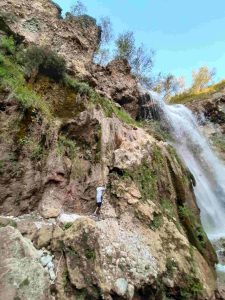 9ccbfee3-0048-4637-99b9-2145b9e52d26