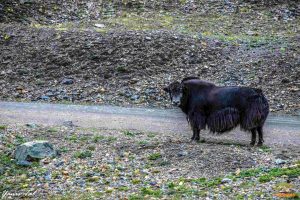 Sunrise over a mountain range in Kyrgyzstan